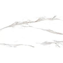 Primavera Takora NR213 White Керамогранит 60x120 см, Россия, под мрамор - фото 1 - фото 1