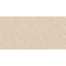 Protiles Classico PT12J9008 Beige Керамогранит 60x120 см, Узбекистан, терраццо - фото 1 - фото 1