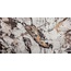 Rak Ceramics Urban Marble Lapp LT Керамогранит 60x120 см, ОАЭ, под мрамор - фото 1 Rak Ceramics Urban Marble Lapp LT Керамогранит 60x120 см, ОАЭ, под мрамор - фото 1