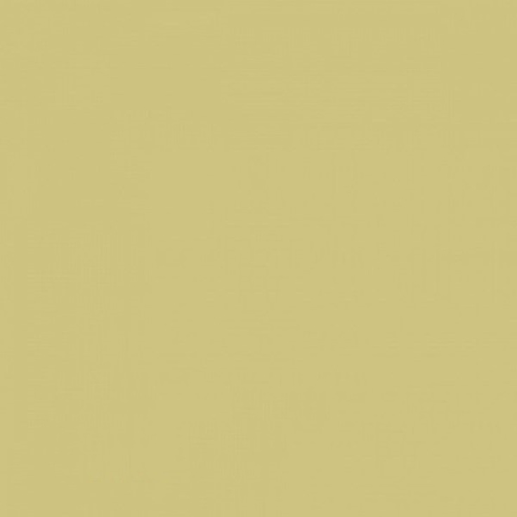 Rako Color One WAA1N221 Оливковая Настенная плитка 20x20 см, Чехия, под камень  - фото 1