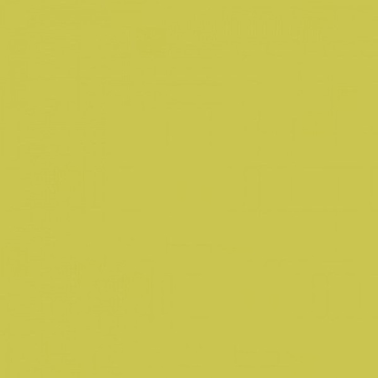 Rako Color One WAA1N464 Оливковая Настенная плитка 20x20 см, Чехия, под камень  - фото 1