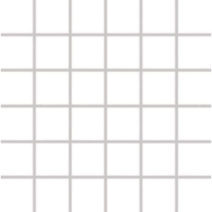 Rako Color One GDM05052 Белая Мозаика 30x30 см, Чехия, под мозаику - фото 1