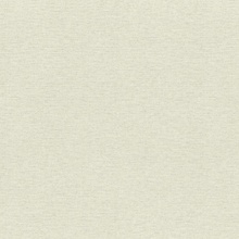 Rasch New Maximum 949827 Однотонные Виниловые обои 1005x106 см, цвет: серый, Германия - фото 1 - фото 1