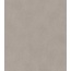 Rasch African Queen III 751062 Под штукатурку Виниловые обои 1005x53 см, цвет: серый, Германия - фото 1