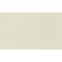 Rasch Alghero 943344 Под штукатурку Виниловые обои 1005x106 см, цвет: зеленый, Германия - фото 1 - фото 1