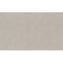 Rasch Alghero 943368 Под штукатурку Виниловые обои 1005x106 см, цвет: серый, Германия - фото 1 - фото 1