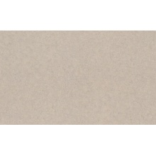 Rasch Ancona 944495 Под штукатурку Виниловые обои 1005x106 см, цвет: коричневый, Германия - фото 1 - фото 1