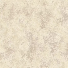Rasch Graffiti Exclusiv 910377 Под штукатурку Виниловые обои 1000x106 см, цвет: бежевый, Германия - фото 1 - фото 1