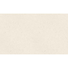 Rasch Graffiti Exclusiv 910476 Под штукатурку Виниловые обои 1000x106 см, цвет: бежевый, Германия - фото 1 - фото 1