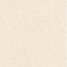 Rasch Graffiti Exclusiv 910483 Под штукатурку Виниловые обои 1000x106 см, цвет: бежевый, Германия - фото 1 - фото 1