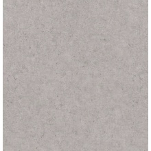 Rasch Graffiti Exclusiv 910490 Под штукатурку Виниловые обои 1000x106 см, цвет: серый, Германия - фото 1 - фото 1