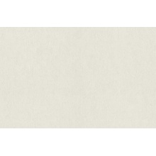 Rasch Unitex 990263 Под штукатурку Виниловые обои 1005x106 см, цвет: бежевый, Германия - фото 1 - фото 1