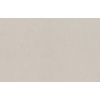 Rasch Unitex 990287 Под штукатурку