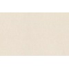 Rasch Unitex 990317 Под штукатурку
