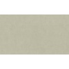 Rasch Unitex 990386 Под штукатурку