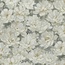 Rasch Varvara 920154 Растительность Виниловые обои 1005x106 см, цвет: белый, Германия - фото 1