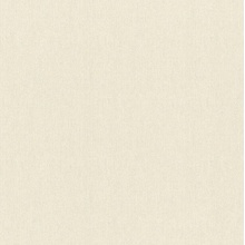 Rasch Wall Textures Xl IV Под штукатурку 943108 Виниловые обои 1005x106 см, цвет: бежевый, Германия - фото 1 - фото 1