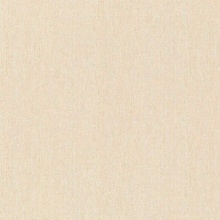 Rasch Wall Textures Xl IV Под штукатурку 943115 Виниловые обои 1005x106 см, цвет: оранжевый, Германия - фото 1 - фото 1