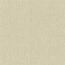 Rasch Wall Textures Xl IV Под штукатурку 943122 Виниловые обои 1005x106 см, цвет: зеленый, Германия - фото 1 - фото 1