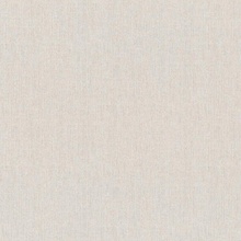 Rasch Wall Textures Xl IV Под штукатурку 943139 Виниловые обои 1005x106 см, цвет: бежевый, Германия - фото 1 - фото 1