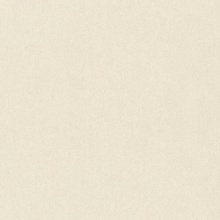 Rasch Wall Textures Xl IV Под штукатурку 943313 Виниловые обои 1005x106 см, цвет: бежевый, Германия - фото 1 - фото 1