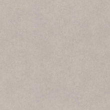 Rasch Wall Textures Xl IV Под штукатурку 943368 Виниловые обои 1005x106 см, цвет: серый, Германия - фото 1 - фото 1
