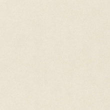 Rasch Wall Textures Xl IV Под штукатурку 943375 Виниловые обои 1005x106 см, цвет: бежевый, Германия - фото 1 - фото 1