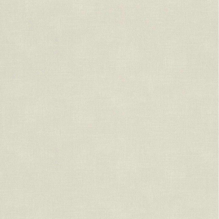 Rasch Wall Textures Xl IV Под штукатурку 943986 Виниловые обои 1005x106 см, цвет: зеленый, Германия - фото 1 Rasch Wall Textures Xl IV Под штукатурку 943986 Виниловые обои 1005x106 см, цвет: зеленый, Германия - фото 1