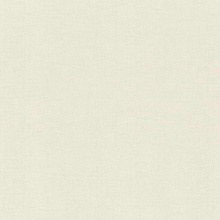 Rasch Wall Textures Xl IV Под штукатурку 944020 Виниловые обои 1005x106 см, цвет: бежевый, Германия - фото 1 - фото 1