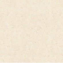 Rasch Wall Textures Xl IV Под штукатурку 974218 Виниловые обои 1005x106 см, цвет: бежевый, Германия - фото 1 - фото 1