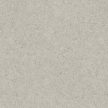 Rasch Wall Textures Xl IV Под штукатурку 974225 Виниловые обои 1005x106 см, цвет: серый, Германия - фото 1 - фото 1