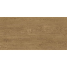 Realistik Marseille Коричневый двойная цифровая печать Керамогранит 60x120 см, Индия, под дерево - фото 1 - фото 1