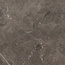 Rex Ceramiche (Florim) Heritage Luxe 774833 Brown Comfort Rett Керамогранит 120x120 см, Италия, под мрамор - фото 1