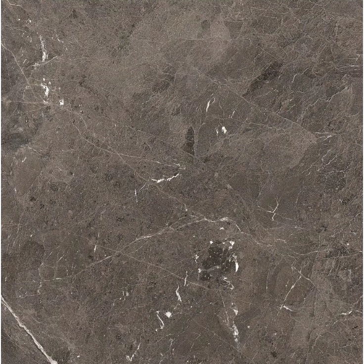 Rex Ceramiche (Florim) Heritage Luxe 774833 Brown Comfort Rett Керамогранит 120x120 см, Италия, под мрамор - фото 1