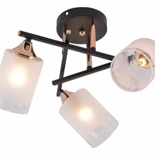 Rivoli Fiona Б0059259 Люстра 46x46x27 см, Италия - фото 1 - фото 2