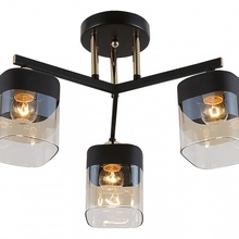 Rivoli Isadora Б0054750 Люстра Италия - фото 1 - фото 2