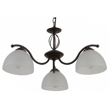 Rivoli Jackeline Б0054755 Люстра подвесная Италия - фото 1 - фото 1