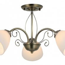 Rivoli Sue Б0060985 Люстра Италия - фото 1 - фото 2