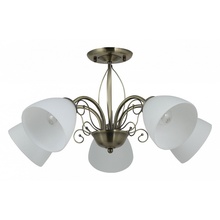 Rivoli Sue Б0060986 Люстра Италия - фото 1 - фото 1