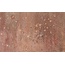 Saicis Tiburtone Noce Керамогранит 30x45 см, Италия, под камень  - фото 1