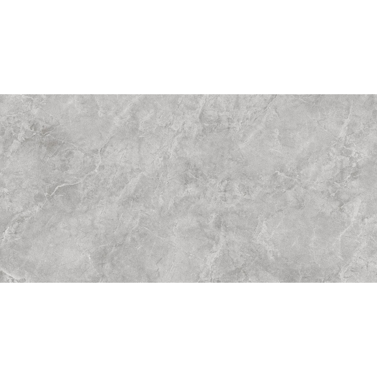 Sant Agostino Themar CSAGRSAO12 Grigio Savoia Керамогранит 60x120 см, Италия - фото 1