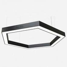 Siled Hexago-02 7370416 Потолочный светильник 52x45x7 см, Россия - фото 1 - фото 2