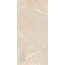 Simpolo Prozzo Rejoice FT FTS 3144 Керамогранит 60x120 см, Индия, под оникс - фото 1