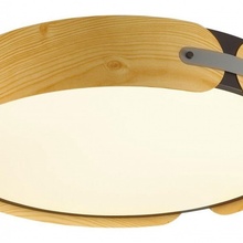 Sonex Coraggio 7721/100L Потолочный светильник Россия - фото 1 - 3 Sonex Coraggio 7721/100L Потолочный светильник Россия - фото 1 - фото 3