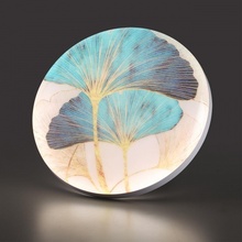 Sonex Floren 7747/DL Потолочный светильник Россия - фото 1 - фото 4