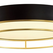 Sonex Lofty 7723/65L Потолочный светильник Россия - фото 1 - фото 4