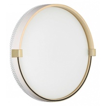 Sonex Olidi White 7646/CL Потолочный светильник Россия - фото 1 - фото 1