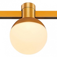 ST-Luce Farm ST815.206.05 Трековый светильник Италия - фото 1 - фото 3