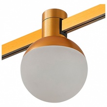 ST-Luce Farm ST815.206.05 Трековый светильник Италия - фото 1 - фото 2