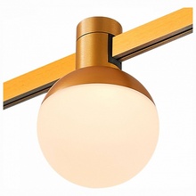 ST-Luce Farm ST815.206.05 Трековый светильник Италия - фото 1 - фото 4